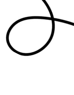 download-form